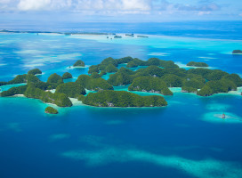Les îles Palaos : le paradis des récifs coralliens et des animaux marins