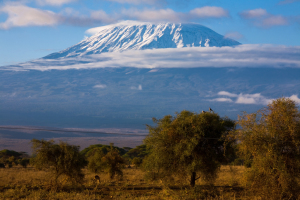 Kilimandjaro : Le toit enneigé de l’Afrique