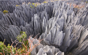 Tsingy du Bemaraha : la nature à l’état brut