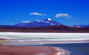Laguna Brava : la nature au cœur des Andes