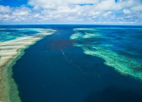 Grande barrière de corail : les plus grands récifs coralliens du monde