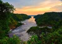Parc national Murchison Falls 