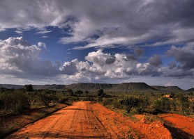 Parc national de Tsavo East : comme dans une Savane !