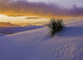 White Sands national monument : le plus grand désert de sable blanc
