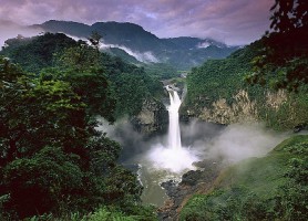 Parc national Yasuni : l’escapade amazonienne