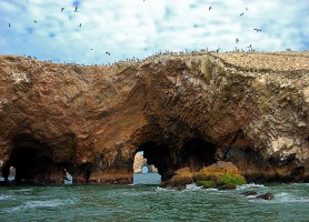 îles Ballestas : le somptueux trésor de mer