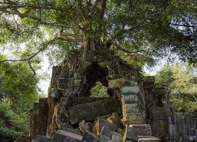 Beng Mealea : admirez le charme tenace d’un précieux temple perdu