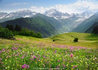 Caucase 
