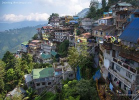 Darjeeling : offrez-vous une expédition au pays du thé !