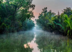 Parc national Sundarbans : l’éblouissante réserve protégée