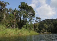 Parc national Chagres 