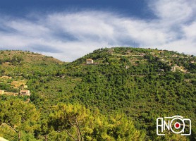 Réserve naturelle du Chouf : la plus grande réserve naturelle du Liban