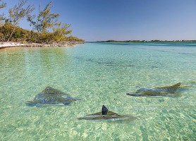 Eleuthera : une extraordinaire destination des Bahamas