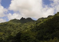 Forêt nationale d'El Yunque 
