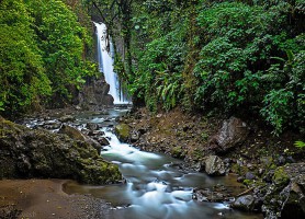 Jardins de la cascade La Paz : un site admirable