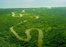 Río Plátano : un espace naturel séduisant
