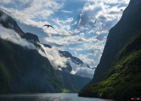 Nærøyfjord : offrez-vous cette irrésistible escapade