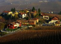 Paysage viticole du Piémont 