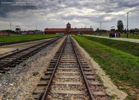 Auschwitz : l’indispensable devoir de mémoire