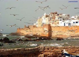 Essaouira : au cœur d’une radieuse ville marocaine