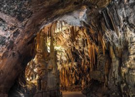 Grottes de Postojna : une remarquable merveille naturelle