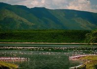 Lac Bogoria 