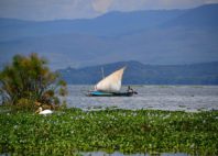 Lac Naivasha 