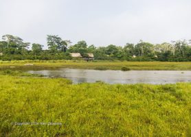 Parc National d'Odzala : le joyau du bassin congolais