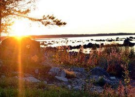 Parc national de Lahemaa : le majestueux poumon vert estonien !