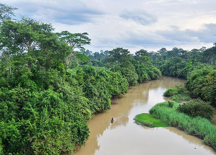 Parc national de la Comoé, Côte d'Ivoire Un véritable trésor