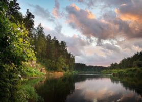 Parc national de la Gauja : une attraction majeure de la Lettonie