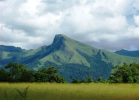 Réserve du Mont Nimba : splendeur naturelle et richesse écologique