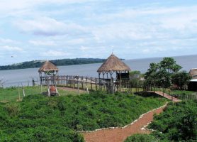 Île de Ngamba : une réserve ougandaise hors du commun