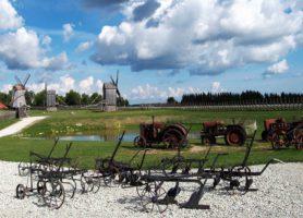 Île de Saaremaa : la nature dans ses grands rôles
