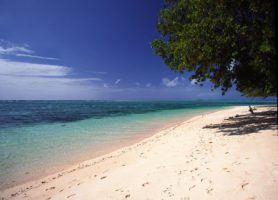 Îles Marshall : la destination pour découvrir la Micronésie