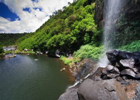 Chutes de Tamarin : belles cascades en forêt