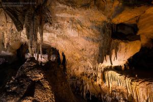 Mammoth Cave : le plus grand réseau souterrain du monde