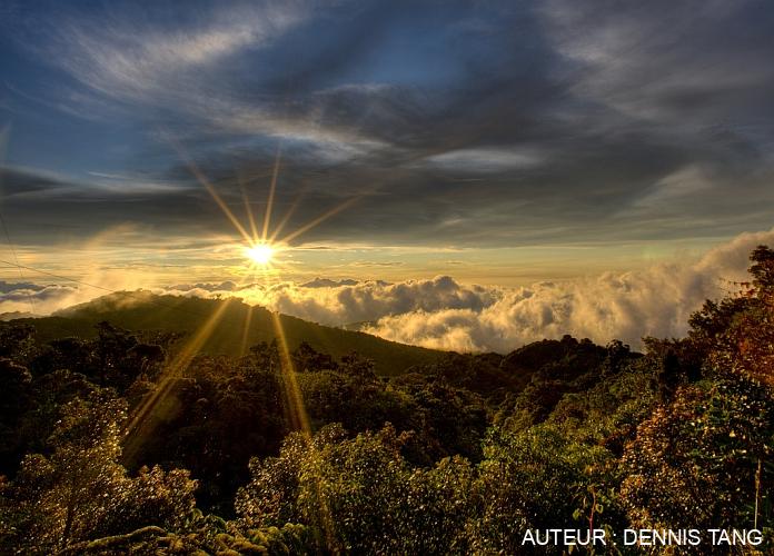 Foret de nuages de Monteverde 