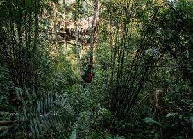 Gibbon Experience : les plus belles maisons dans les arbres !