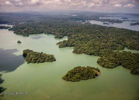 Lac Gatún : découvrez ce joyau de Panama