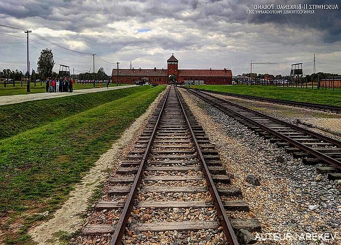 Auschwitz 