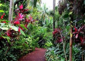 Jardin des Parfums et des Epices : le chatoyant parc botanique