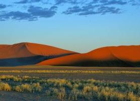 Désert du Namib : les plus grandes montagnes de sable au monde !