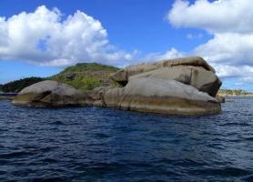 Île Cocos : découvrez cet aquarium exceptionnel