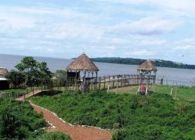 Île de Ngamba : une réserve ougandaise hors du commun