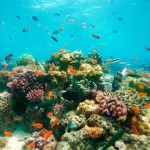 Îles Maldives 