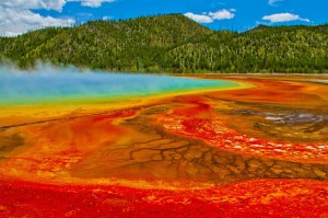 Yellowstone : 4 bonnes raisons de visiter ce parc incroyable