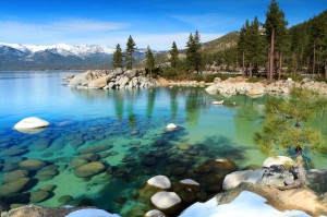 Lac Tahoe: pays de l’ours brun