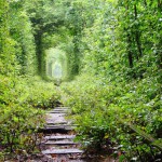 Tunnel de l'amour 