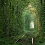 Tunnel de l'amour 